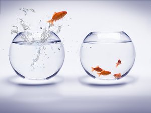 技术常见问题解答合集